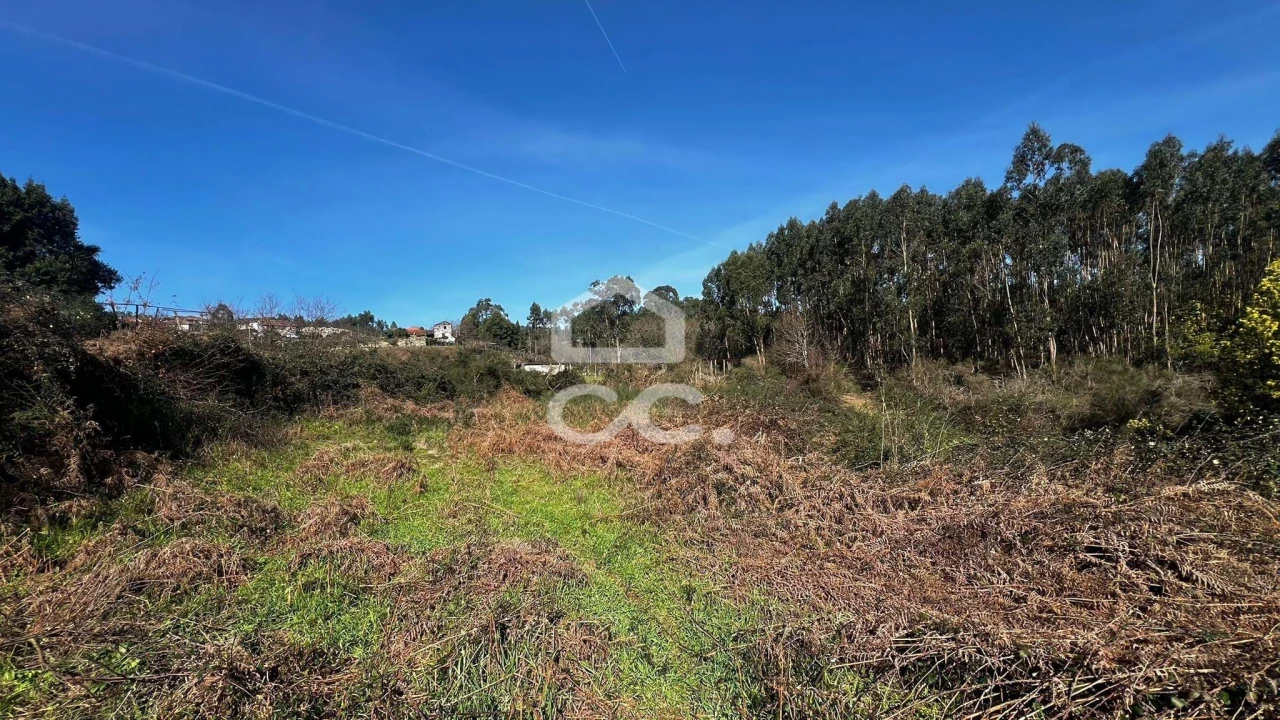 Terreno para Venda em Meixomil Foto 4