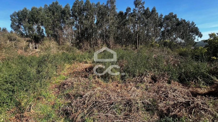 Terreno para Venda em Meixomil Foto 3