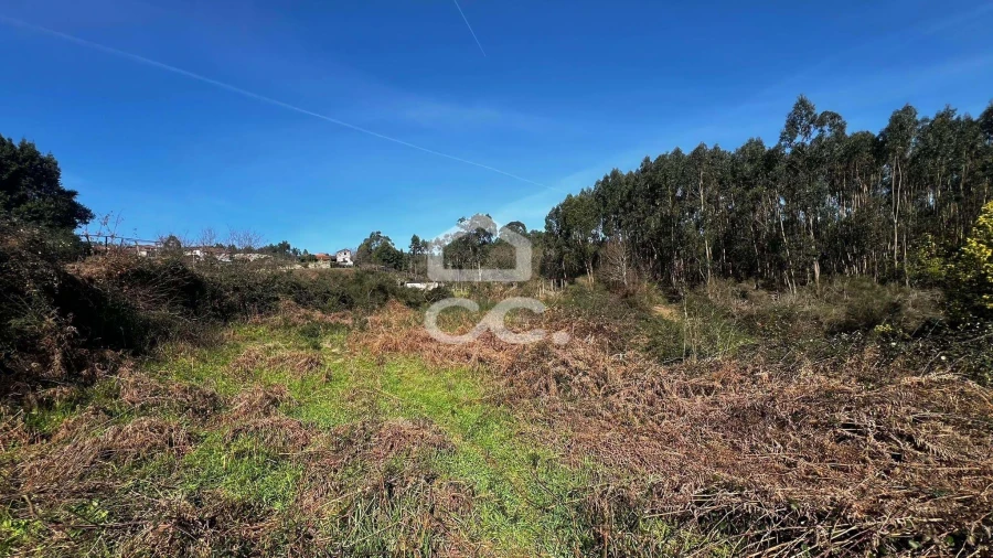 Terreno para Venda em Meixomil Foto 4