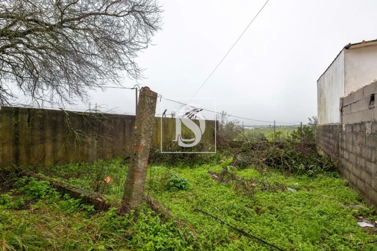 Moradia T2 para Venda em Azoia de Cima e Tremês Foto 15