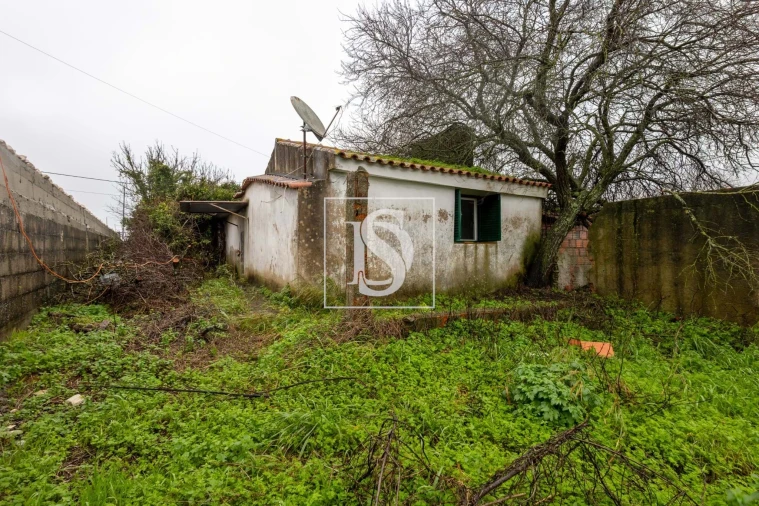 Moradia T2 para Venda em Azoia de Cima e Tremês Foto 9