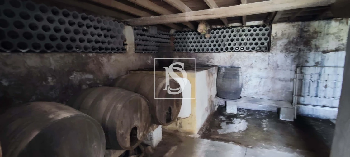 Moradia T3 para Venda em Miragaia e Marteleira Foto 30