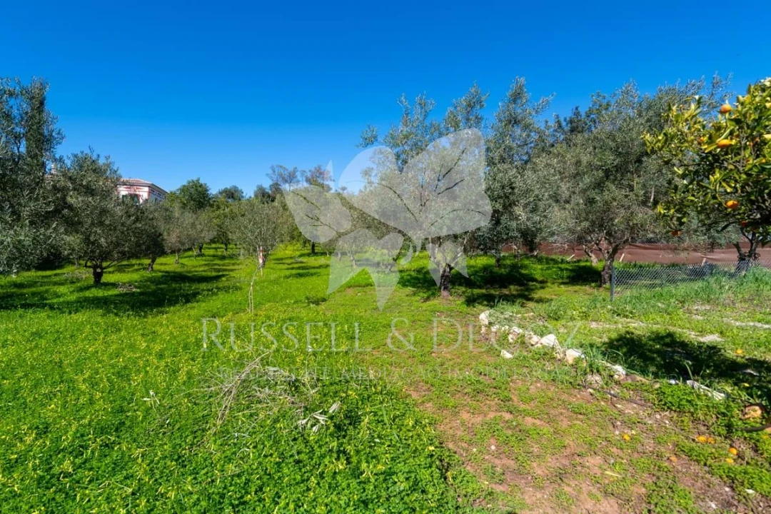 Quinta T3 para Venda em Santa Catarina da Fonte do Bispo Foto 38