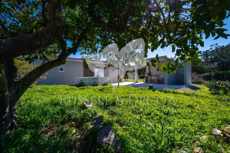 Quinta T3 para Venda em Santa Catarina da Fonte do Bispo Foto 37