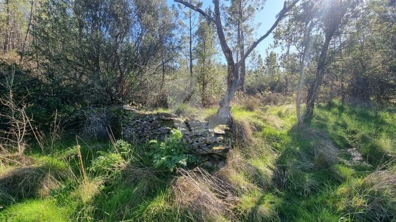 Terreno Agricola ou Rústico para Venda em Santo Andre das Tojeiras Foto 3