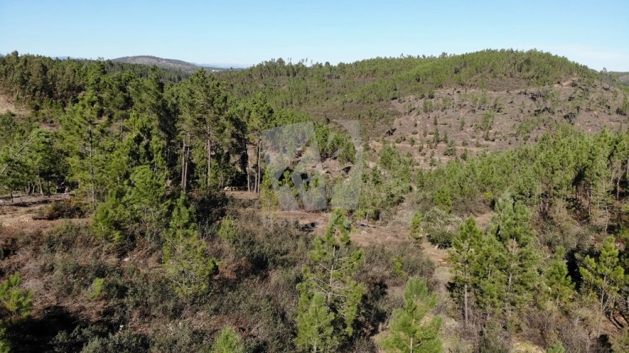 Terreno Agricola ou Rústico para Venda em Santo Andre das Tojeiras Foto 16