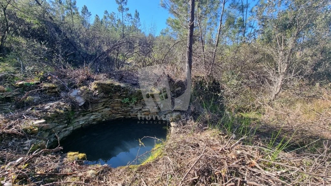 Terreno Agricola ou Rústico para Venda em Santo Andre das Tojeiras Foto 2