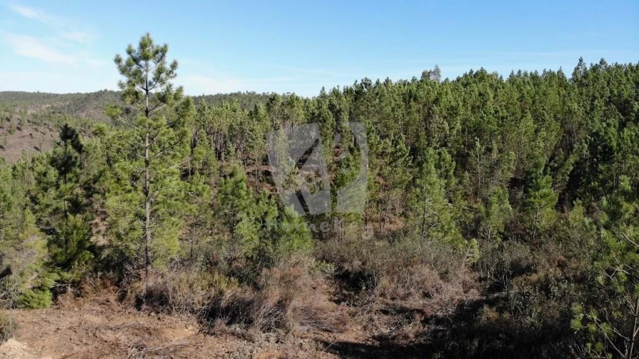 Terreno Agricola ou Rústico para Venda em Santo Andre das Tojeiras Foto 17
