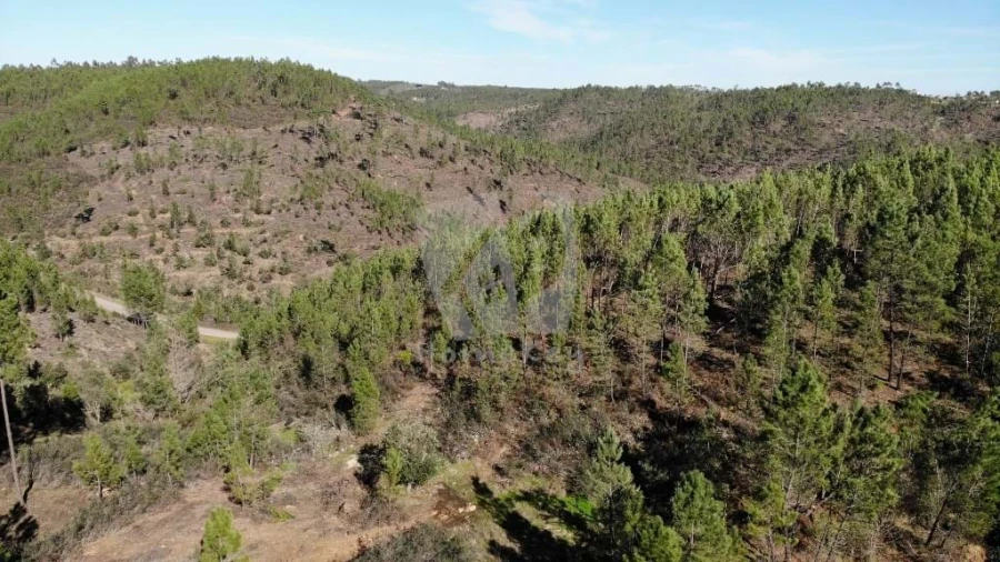 Terreno Agricola ou Rústico para Venda em Santo Andre das Tojeiras Foto 14