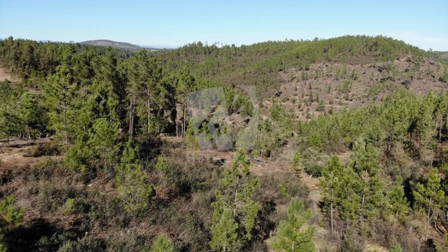 Terreno Agricola ou Rústico para Venda em Santo Andre das Tojeiras Foto 16