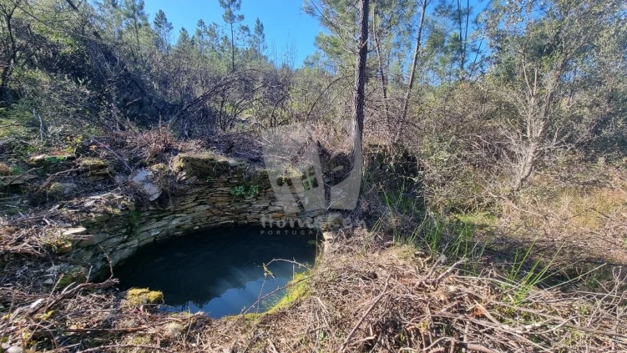 Terreno Agricola ou Rústico para Venda em Santo Andre das Tojeiras Foto 2