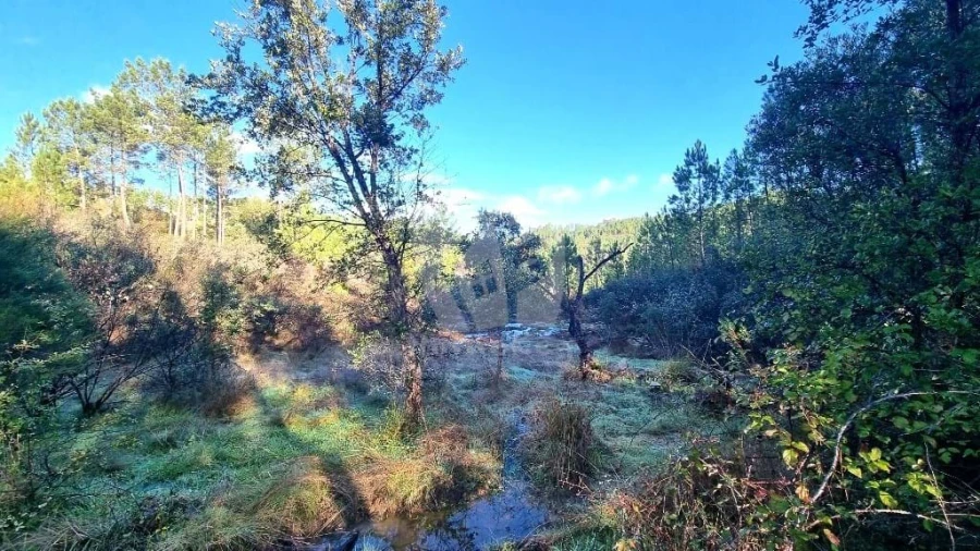 Terreno Agricola ou Rústico para Venda em Santo Andre das Tojeiras Foto 5