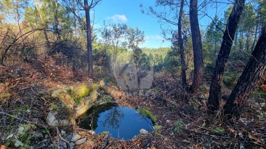 Terreno Agricola ou Rústico para Venda em Santo Andre das Tojeiras Foto 1