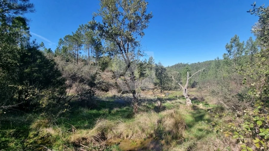 Terreno Agricola ou Rústico para Venda em Santo Andre das Tojeiras Foto 13