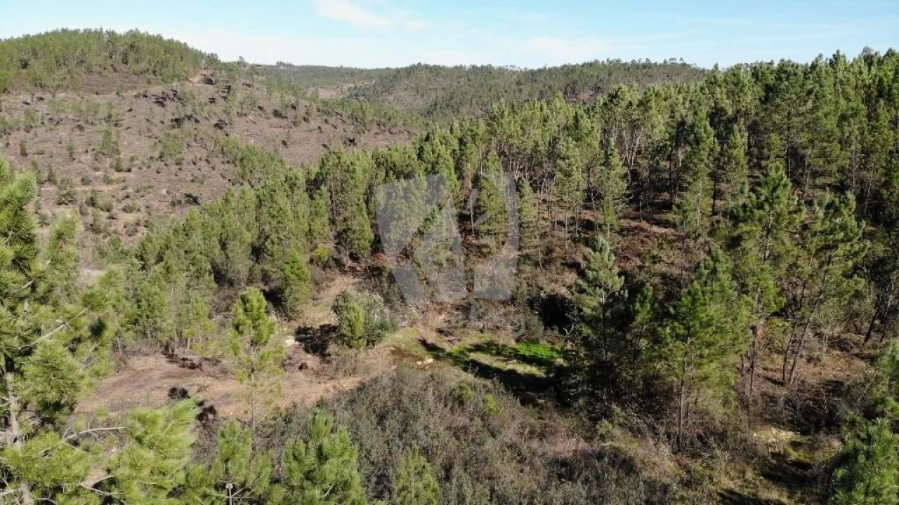 Terreno Agricola ou Rústico para Venda em Santo Andre das Tojeiras Foto 18