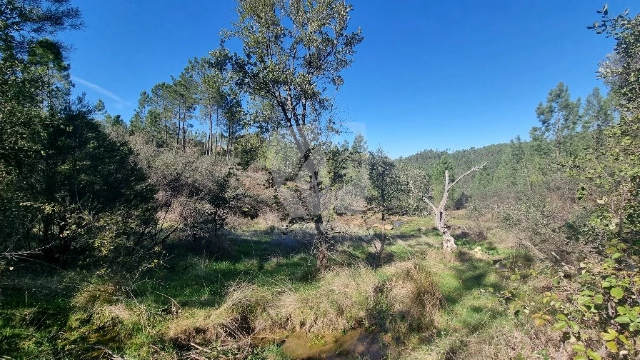 Terreno Agricola ou Rústico para Venda em Santo Andre das Tojeiras Foto 13