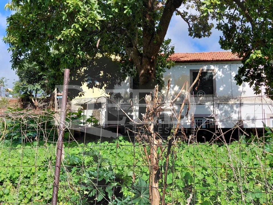 Prédio para Venda em Santo Antonio Foto 5