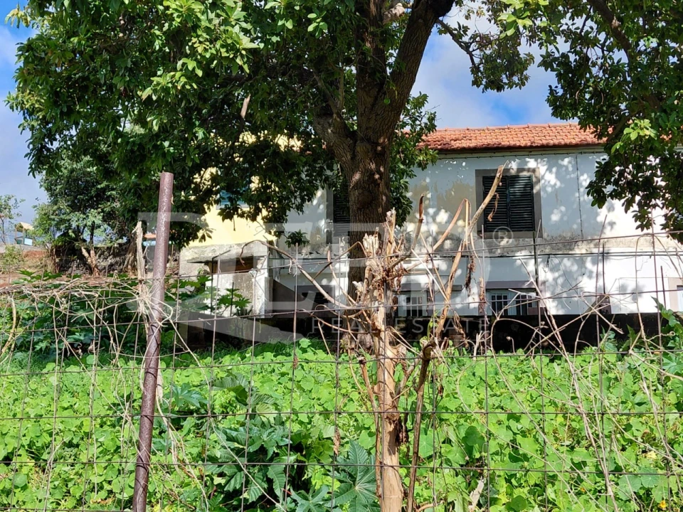 Prédio para Venda em Santo Antonio Foto 15