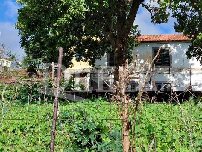 Prédio para Venda em Santo Antonio Foto 3