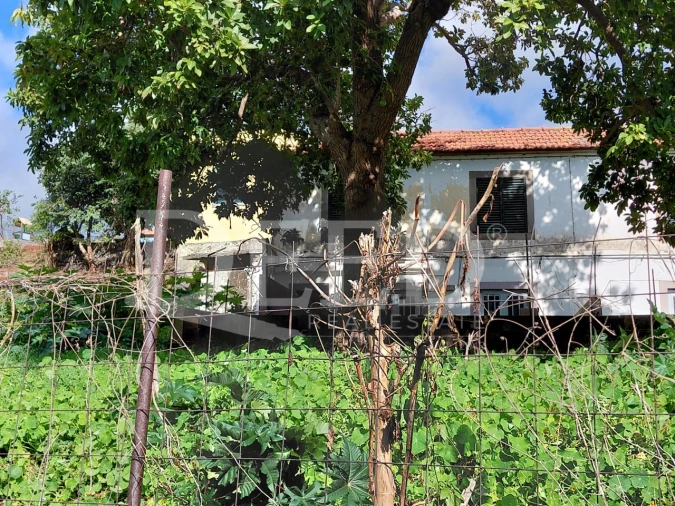 Prédio para Venda em Santo Antonio Foto 5