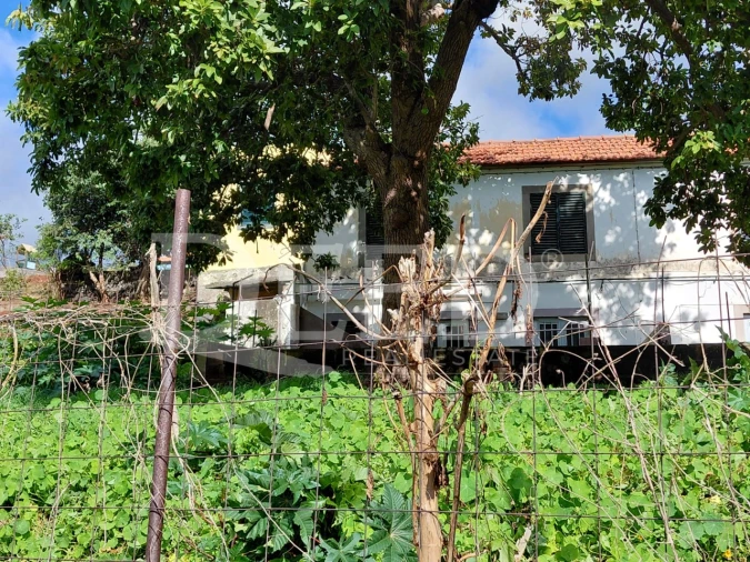 Prédio para Venda em Santo Antonio Foto 15