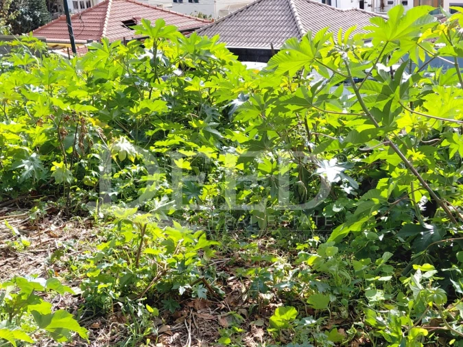 Prédio para Venda em Santo Antonio Foto 22