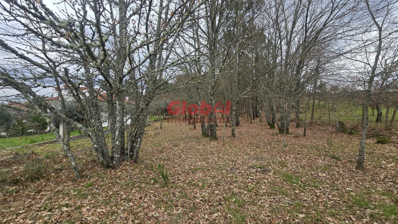 Terreno para Venda em Barreiros e Cepões Foto 5