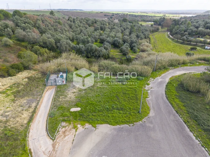 Terreno para Venda em Marvila, Ribeira Santarém, São Salvador, São Nicolau Foto 6
