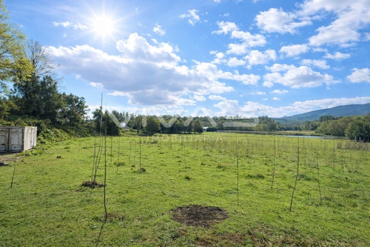 Terreno Agricola ou Rústico para Venda em Marrancos e Arcozelo Foto 3