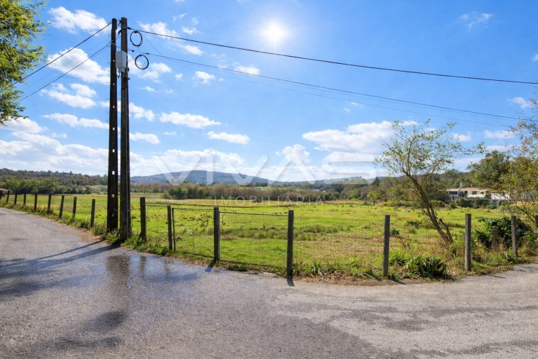 Terreno Agricola ou Rústico para Venda em Marrancos e Arcozelo Foto 8
