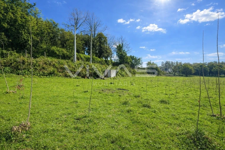 Terreno Agricola ou Rústico para Venda em Marrancos e Arcozelo Foto 4