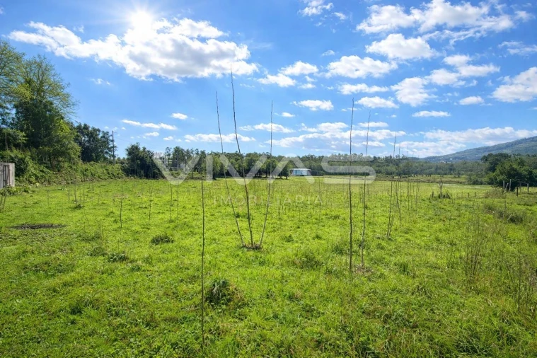 Terreno Agricola ou Rústico para Venda em Marrancos e Arcozelo Foto 1