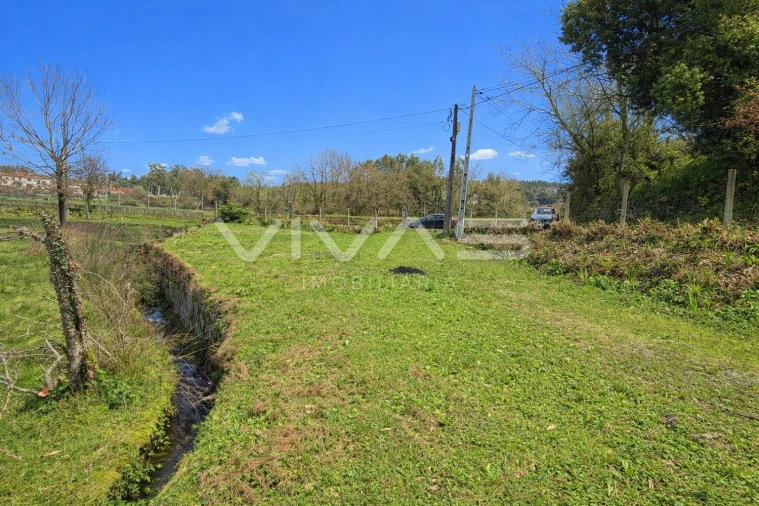 Terreno Agricola ou Rústico para Venda em Marrancos e Arcozelo Foto 6