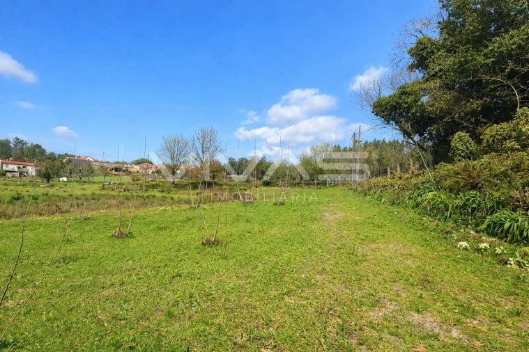 Terreno Agricola ou Rústico para Venda em Marrancos e Arcozelo Foto 5