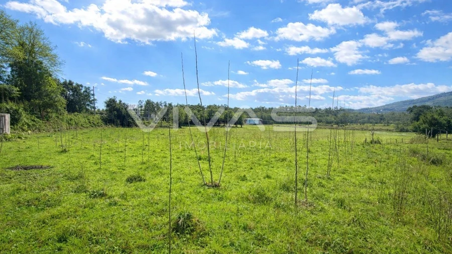 Terreno Agricola ou Rústico para Venda em Marrancos e Arcozelo