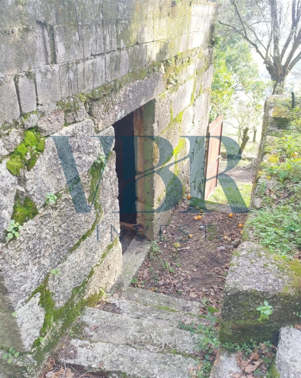 Moradia T4 para Venda em Vale (São Cosme), Telhado e Portela Foto 7