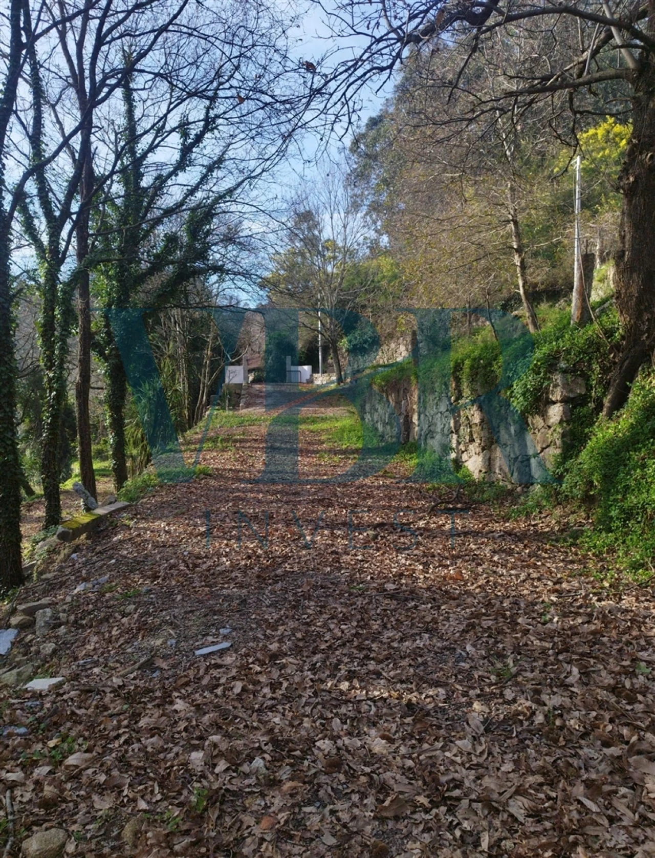 Moradia T4 para Venda em Vale (São Cosme), Telhado e Portela Foto 3