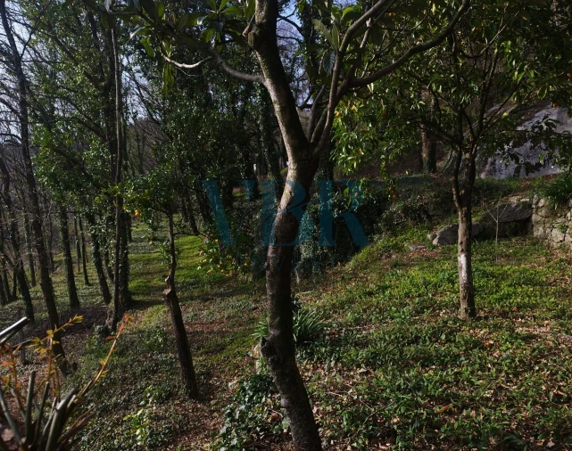 Moradia T4 para Venda em Vale (São Cosme), Telhado e Portela Foto 11