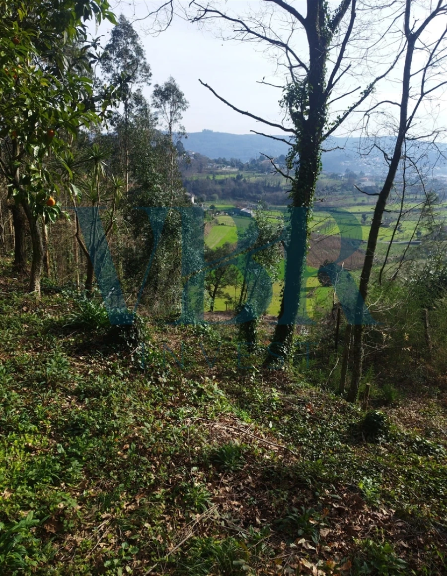 Moradia T4 para Venda em Vale (São Cosme), Telhado e Portela Foto 12
