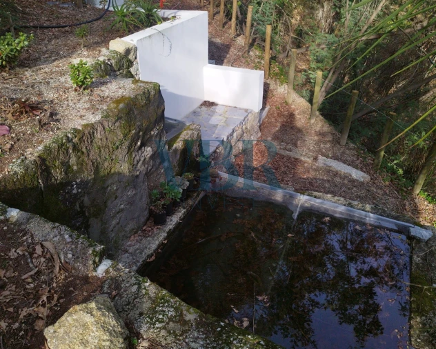 Moradia T4 para Venda em Vale (São Cosme), Telhado e Portela Foto 21