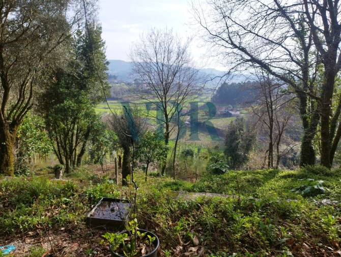Moradia T4 para Venda em Vale (São Cosme), Telhado e Portela Foto 5
