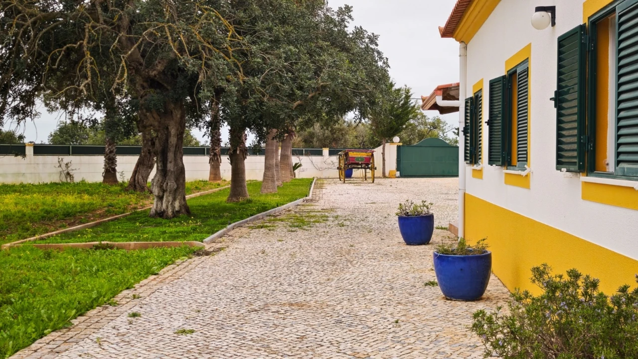 Quinta T4 para Venda em Guia Foto 76