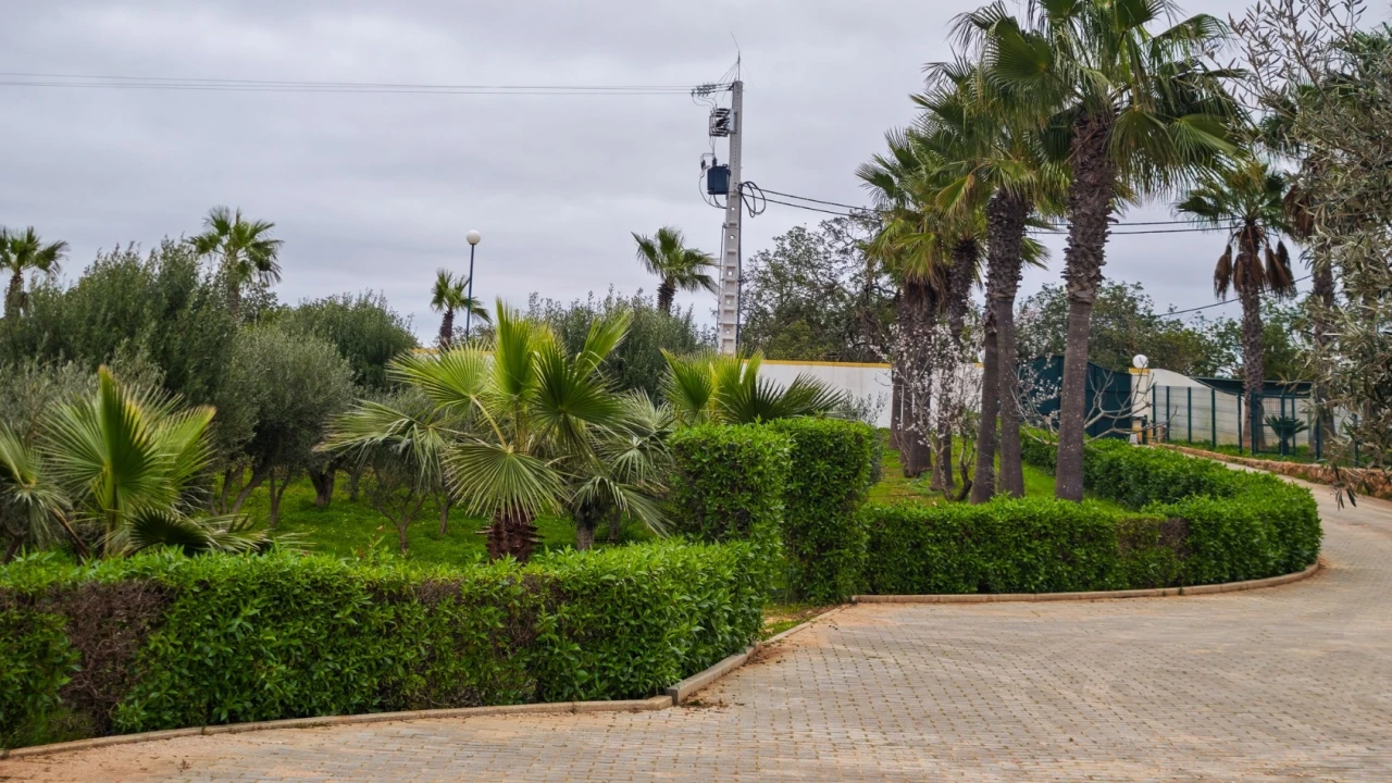 Quinta T4 para Venda em Guia Foto 70