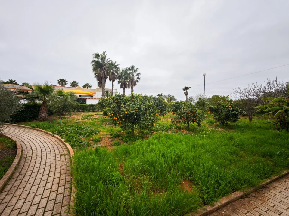 Quinta T4 para Venda em Guia Foto 44