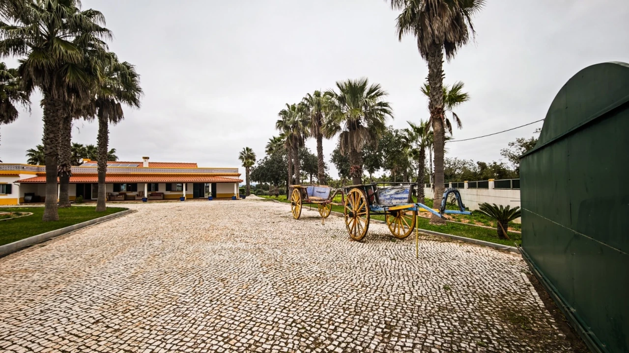 Quinta T4 para Venda em Guia Foto 1