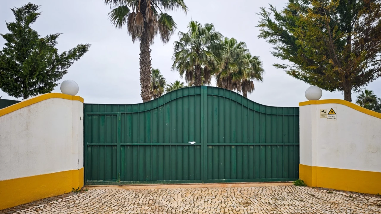 Quinta T4 para Venda em Guia Foto 4