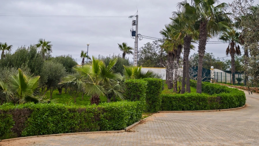 Quinta T4 para Venda em Guia Foto 70