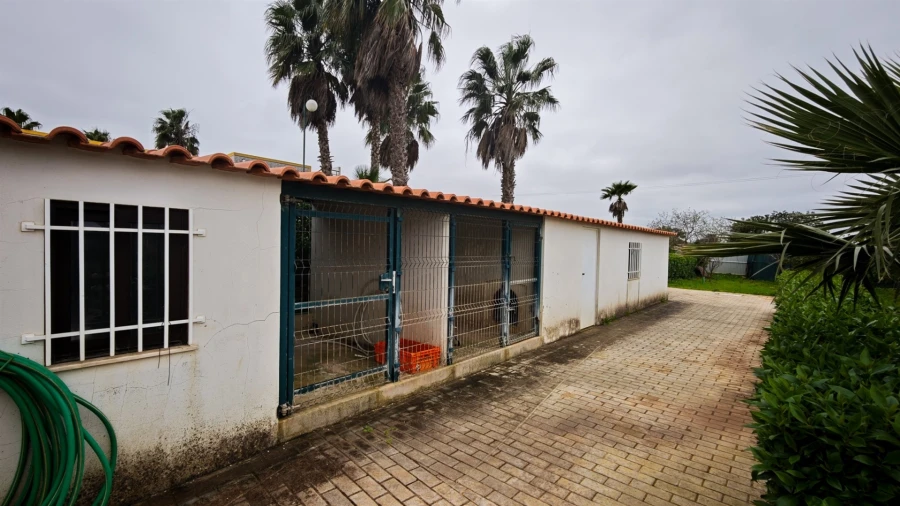 Quinta T4 para Venda em Guia Foto 71