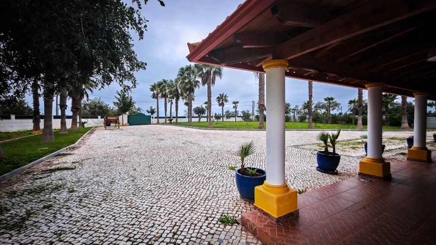 Quinta T4 para Venda em Guia Foto 5