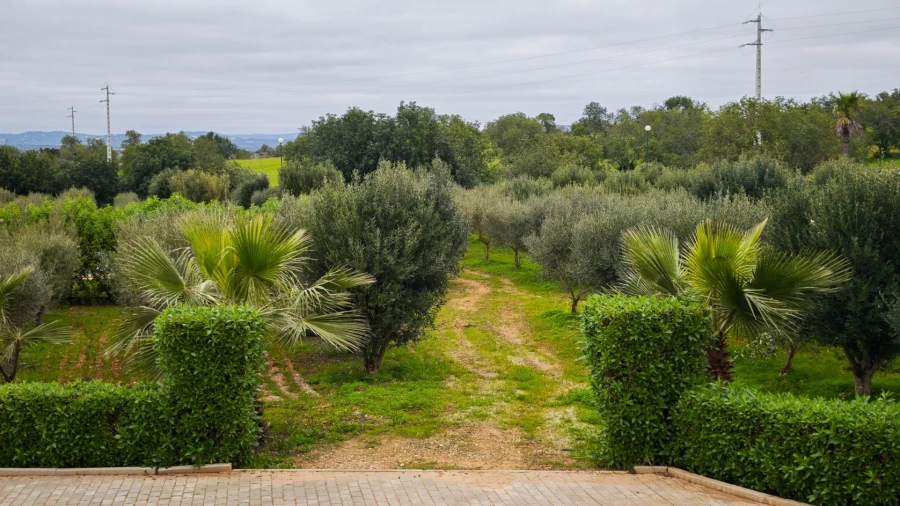 Quinta T4 para Venda em Guia Foto 75